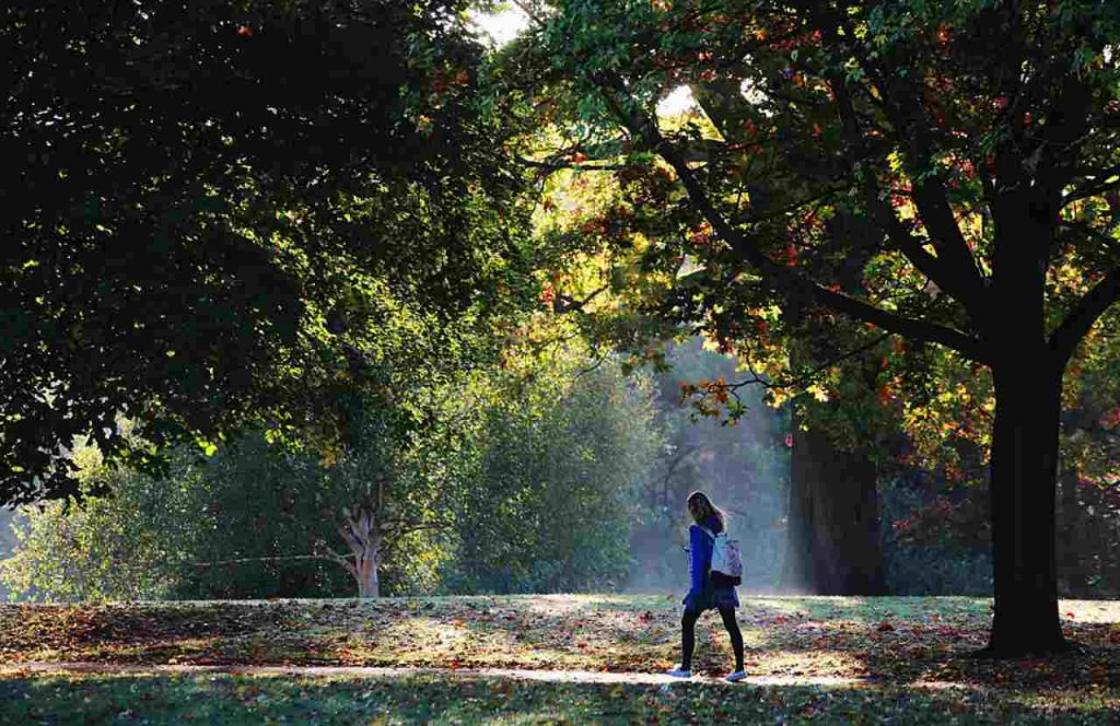 Perché camminare fa bene alla mente: i vantaggi che non ti aspetteresti