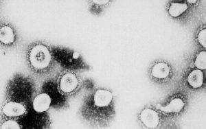 Coronavirus