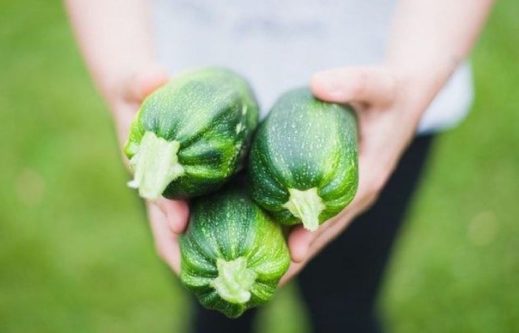 Pasta e zucchine: ecco il “tocco” segreto che la renderà super cremosa