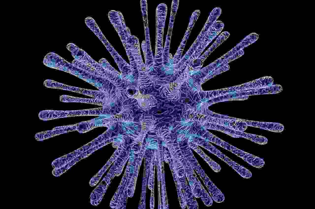 Probabile nuova pandemia in arrivo, l’Oms avvisa:” Preparatevi”