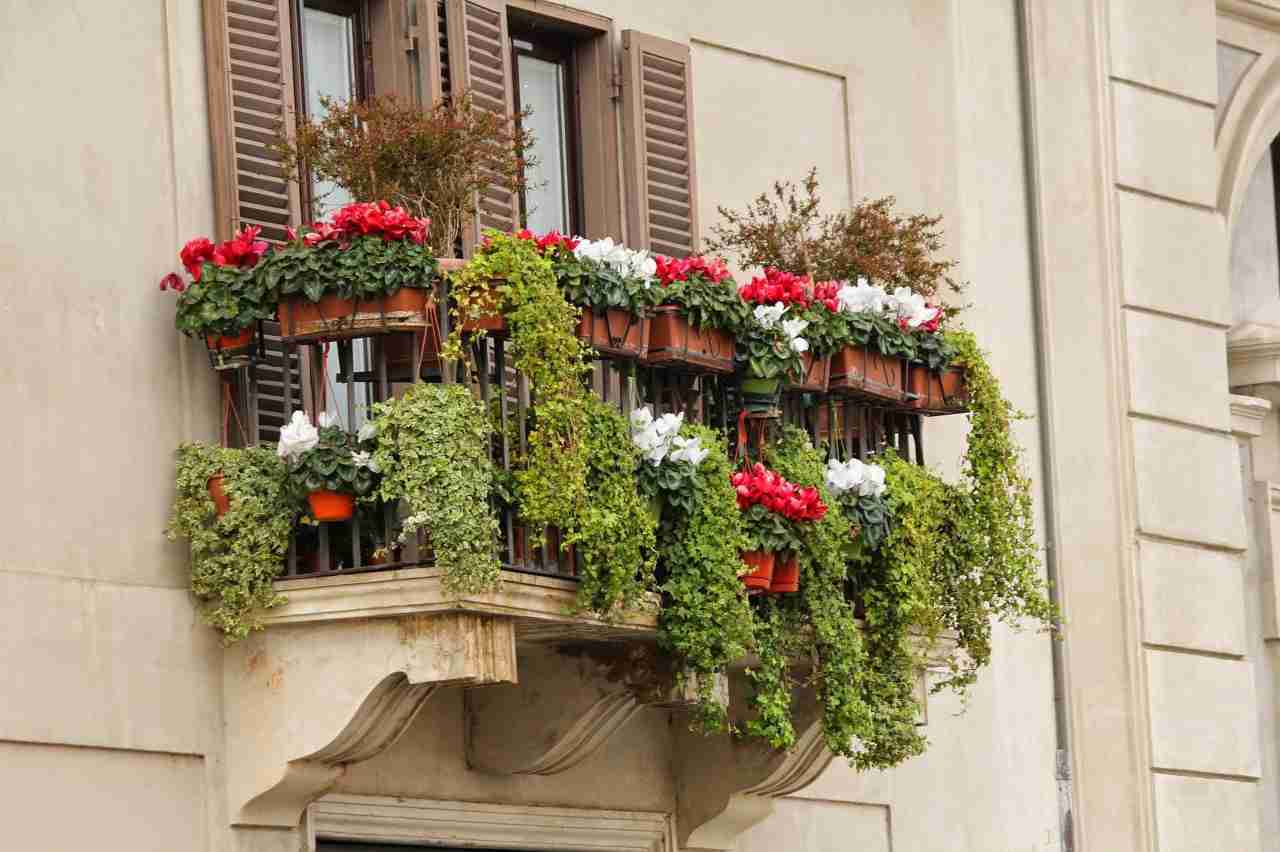 abbellire balcone fiore