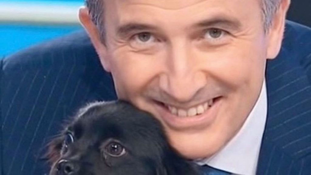 Striscia la Notizia, che fine fanno i cagnolini più famosi della tv: inaspettato!