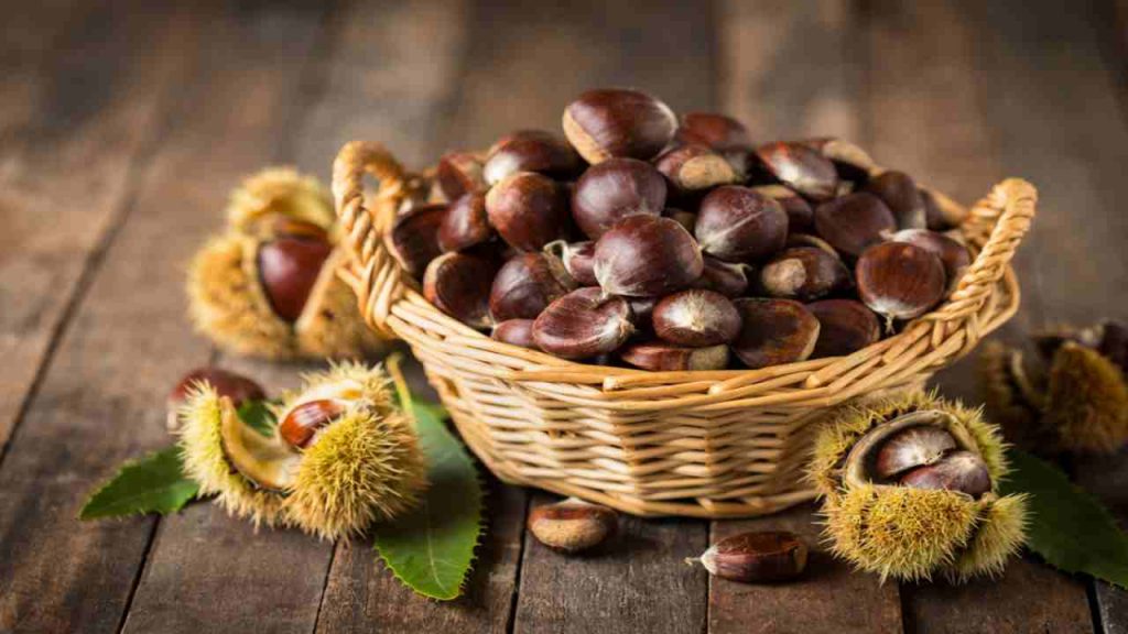 Come cuocere le castagne al microonde in modo facile e veloce | La ricetta di Benedetta Rossi